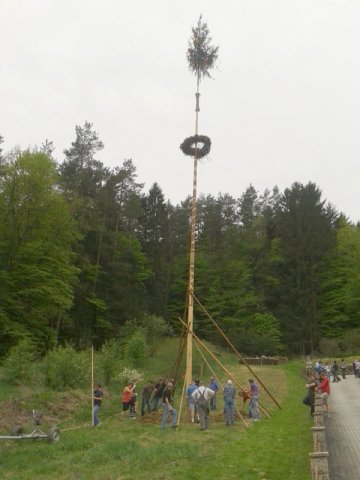 Maibaum2013